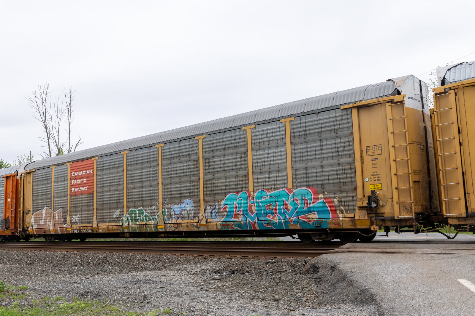 TTGX 996334