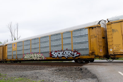TTGX 974565