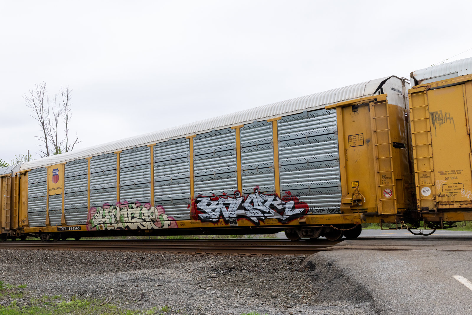 TTGX 974565
