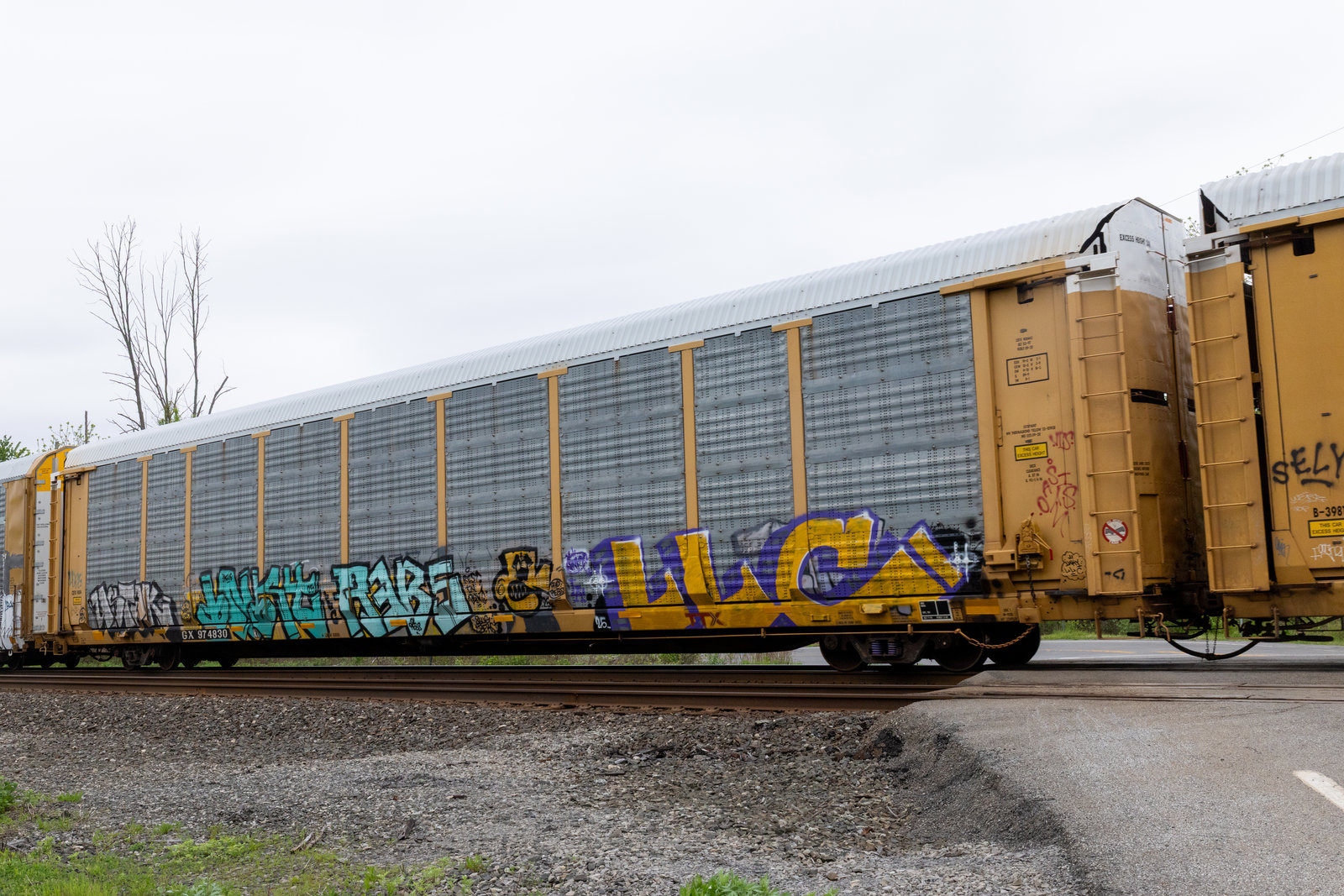 TTGX 974830