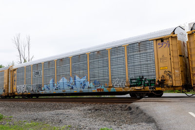 TTGX 254932