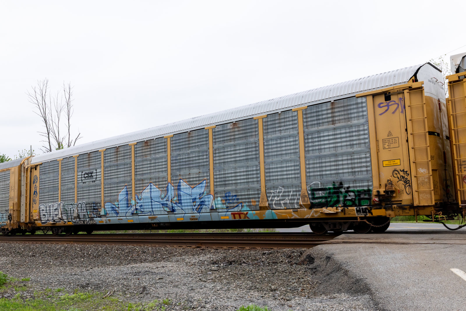 TTGX 254932