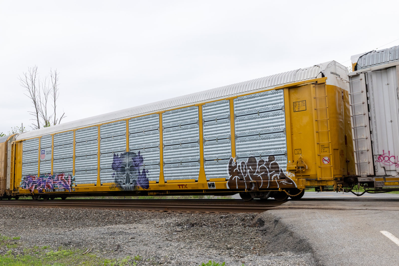 TTGX 985080