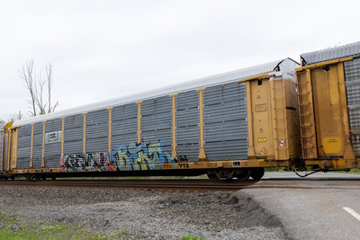 TTGX 964882