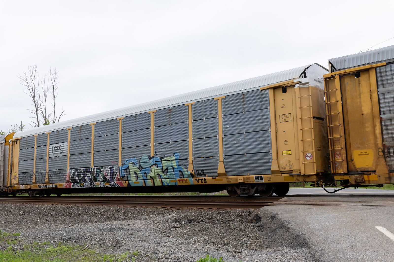 TTGX 964882