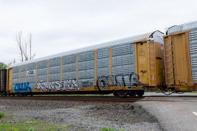 TTGX 978135