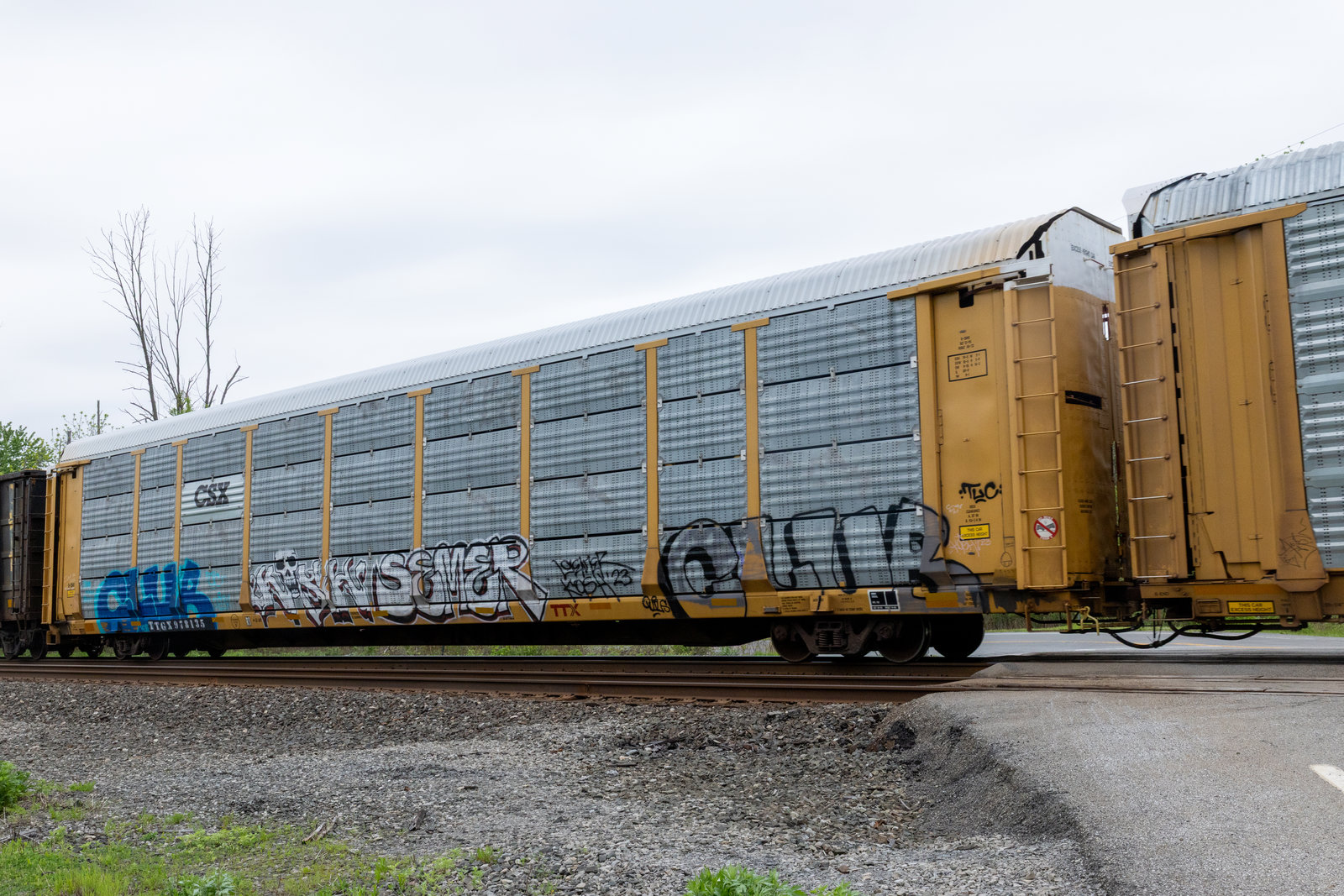 TTGX 978135