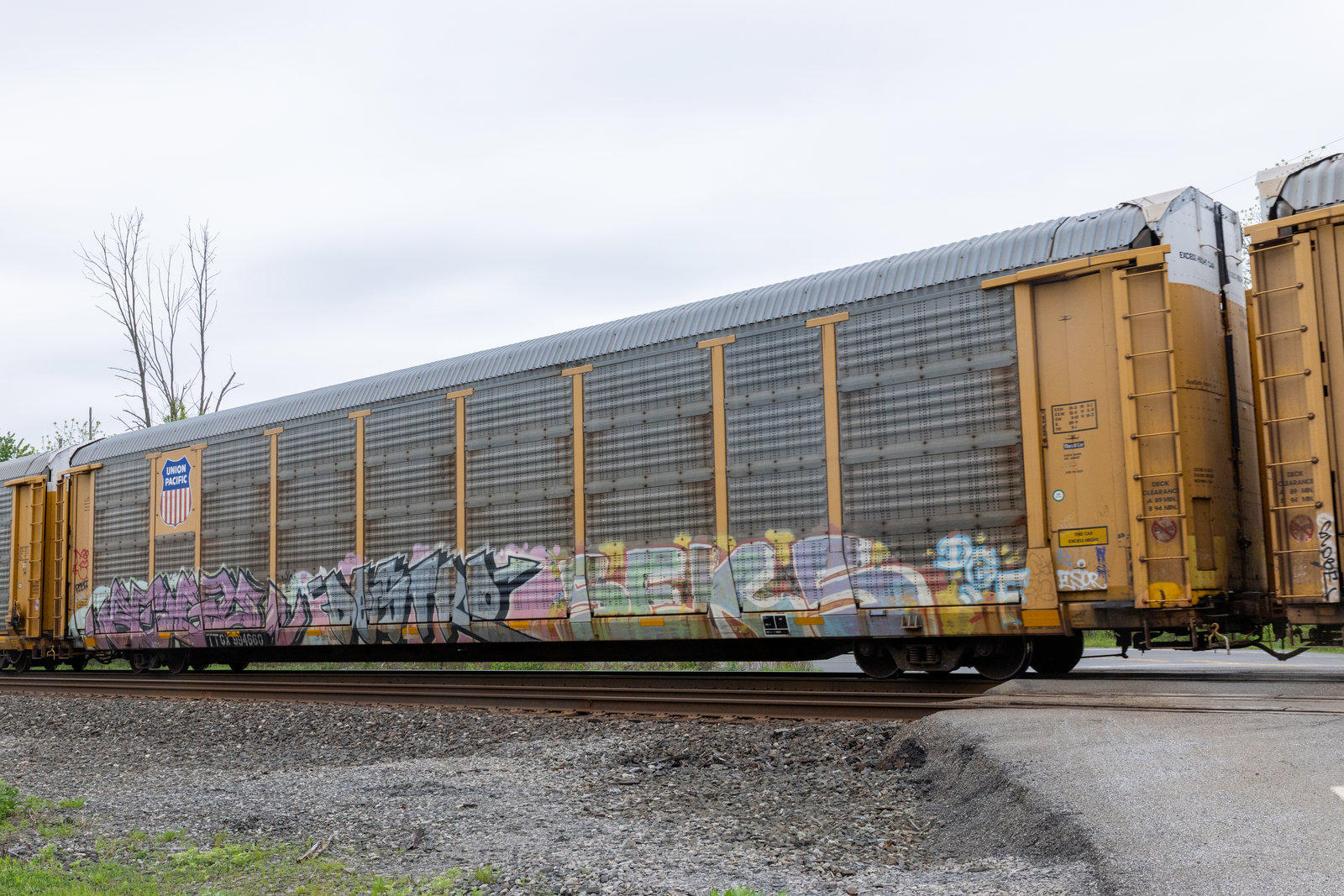 TTGX 994660