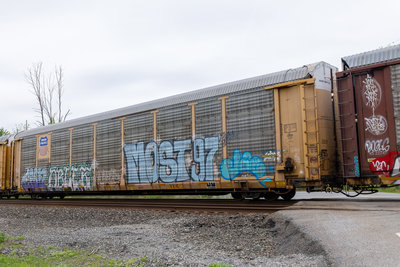 TTGX 988573
