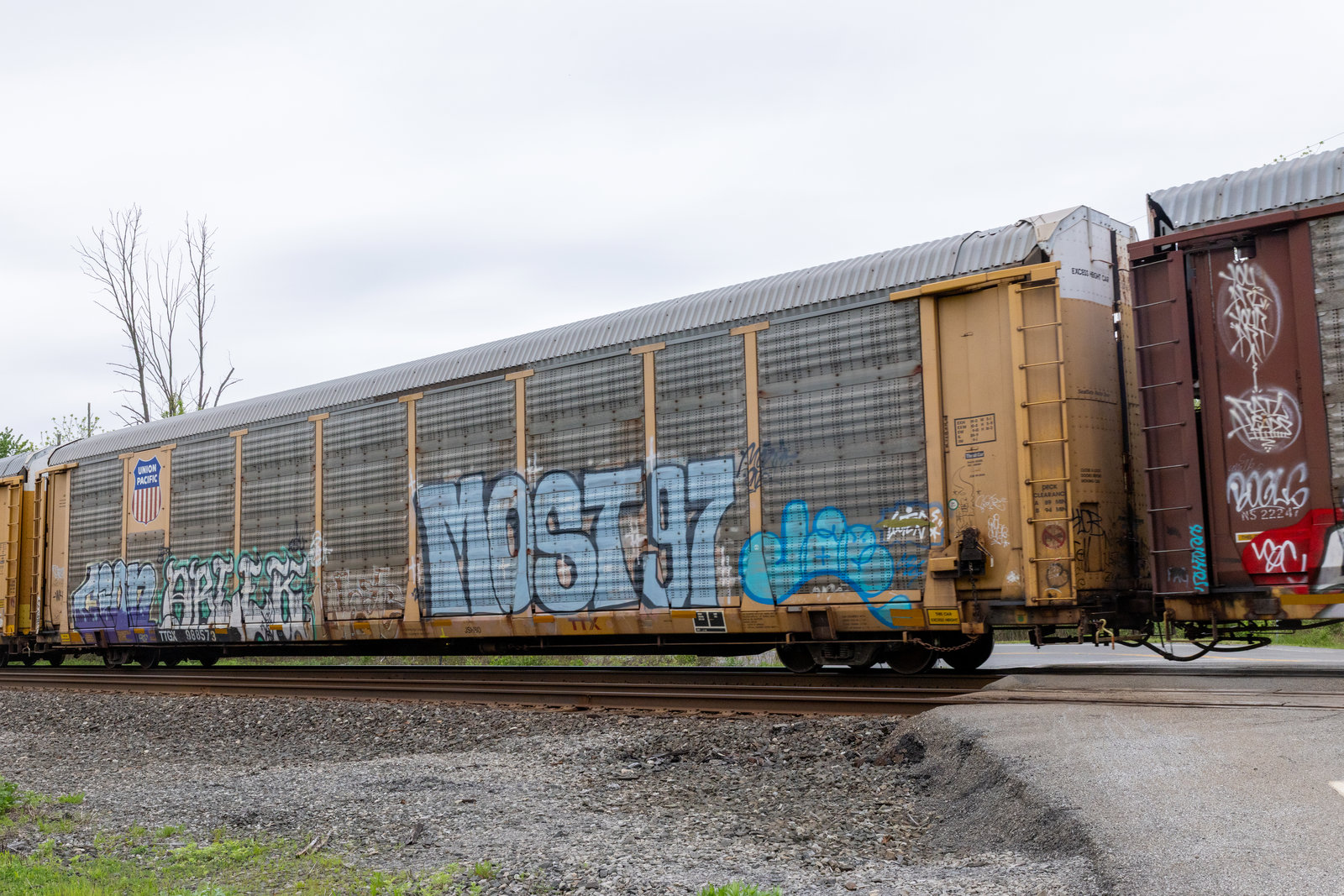 TTGX 988573