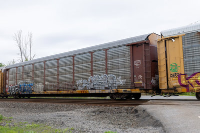 TTGX 982370