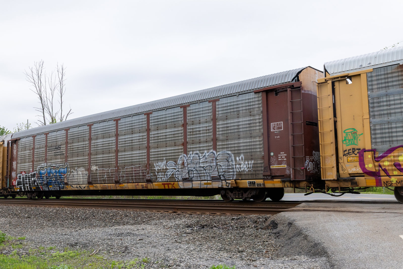 TTGX 982370