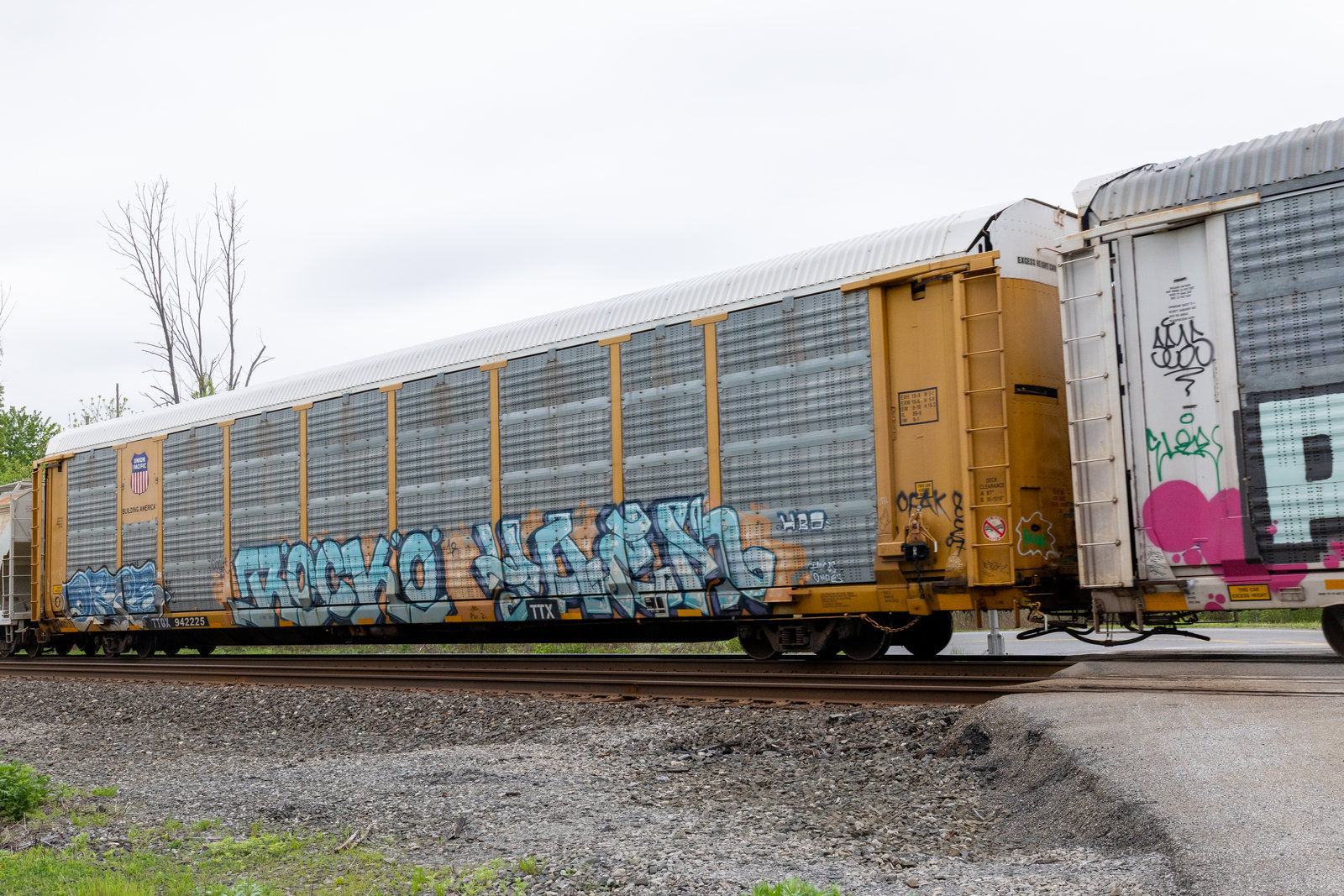 TTGX 942225
