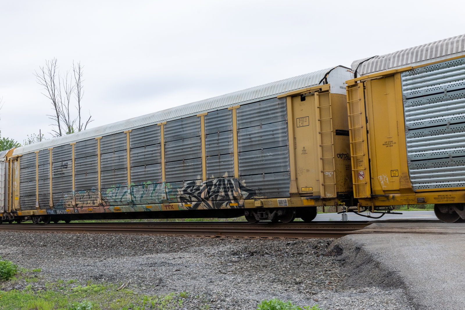 TTGX 964703
