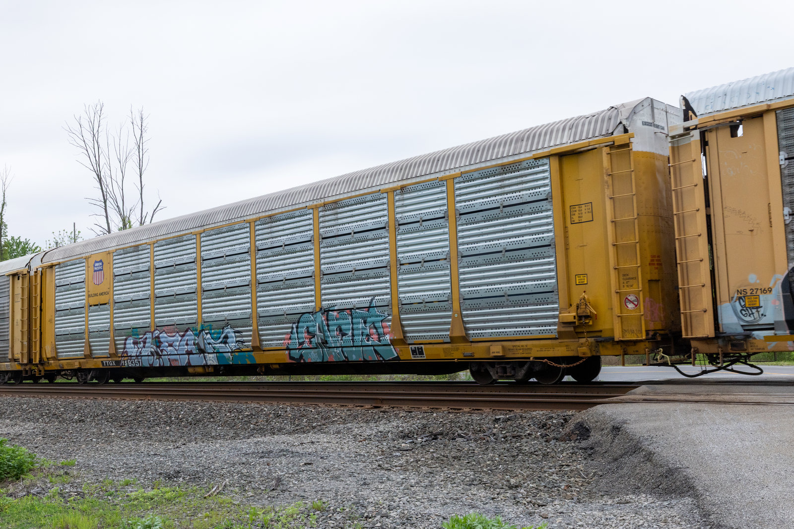 TTGX 158357