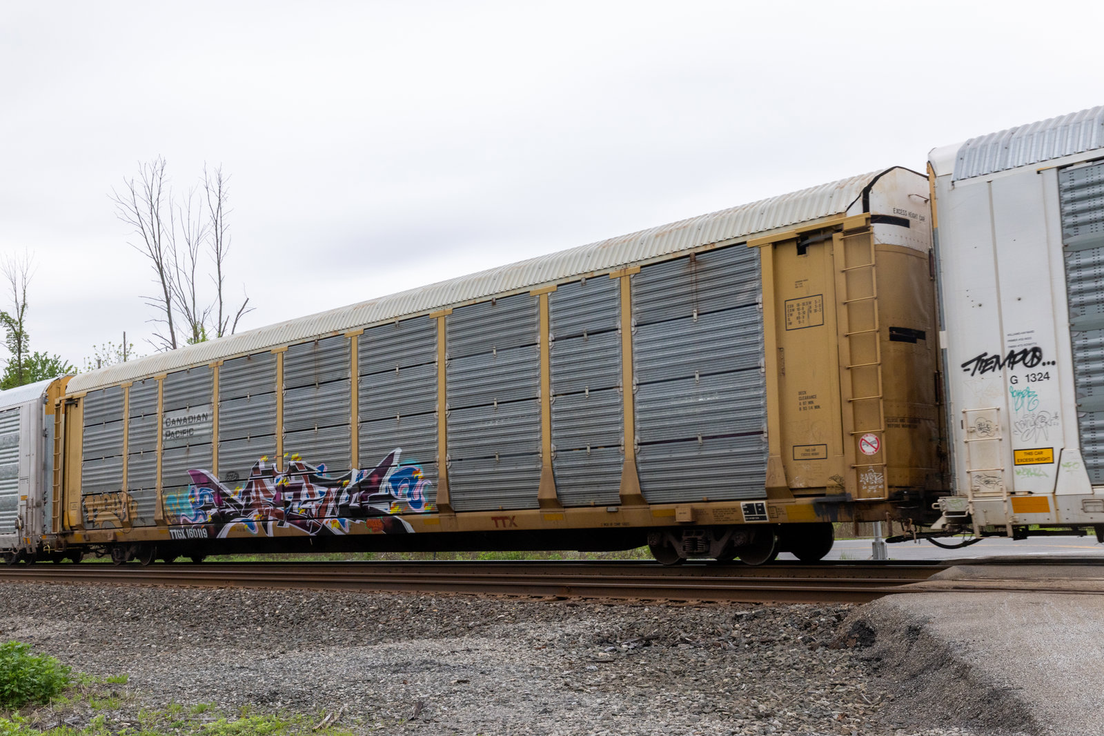 TTGX 160119