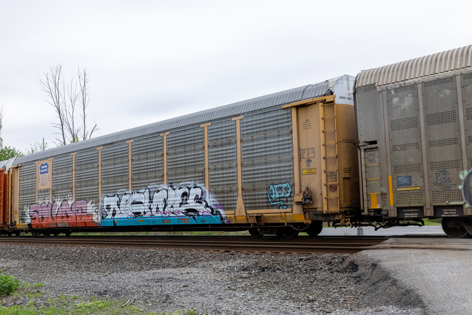 TTGX 985717