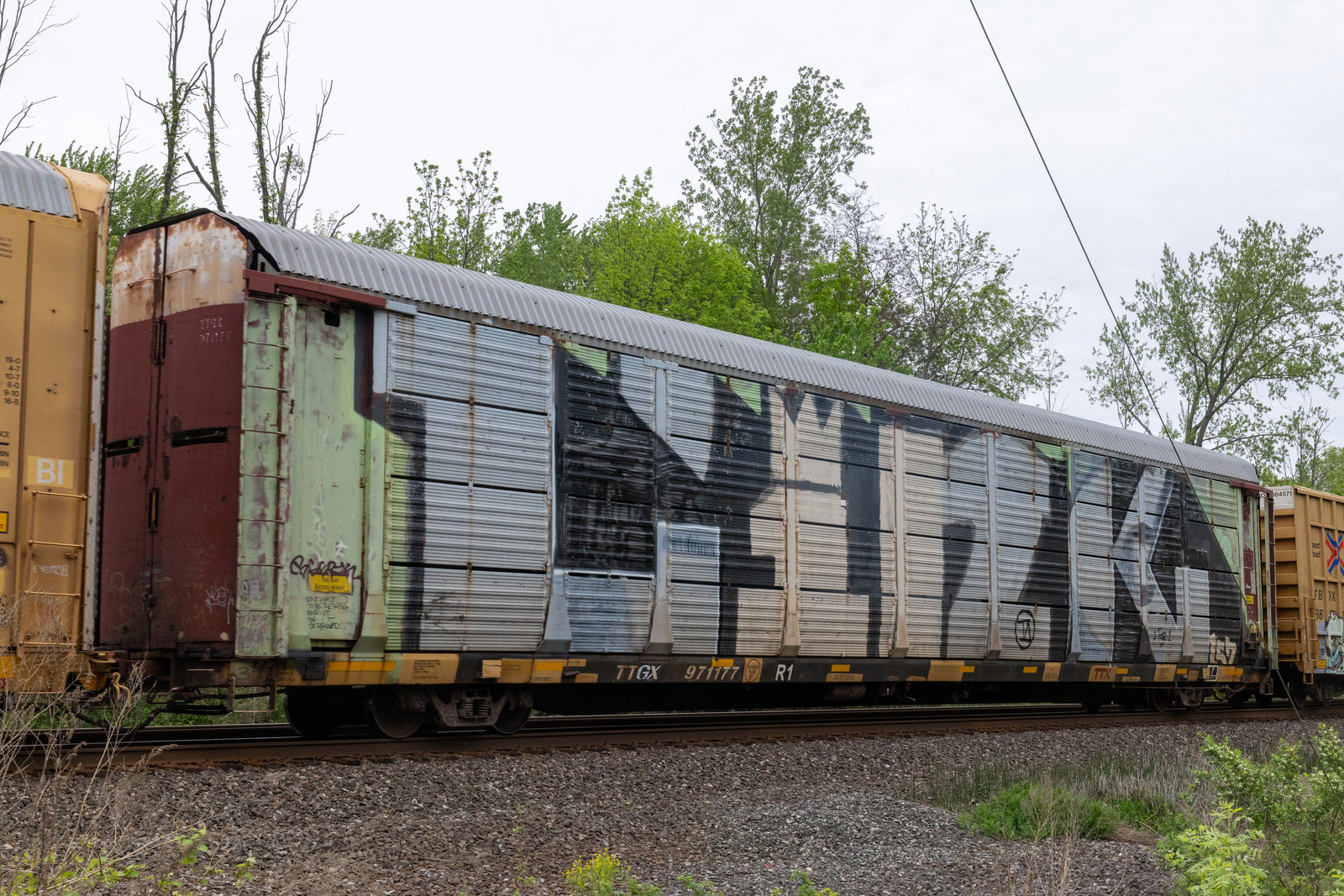 TTGX 971177