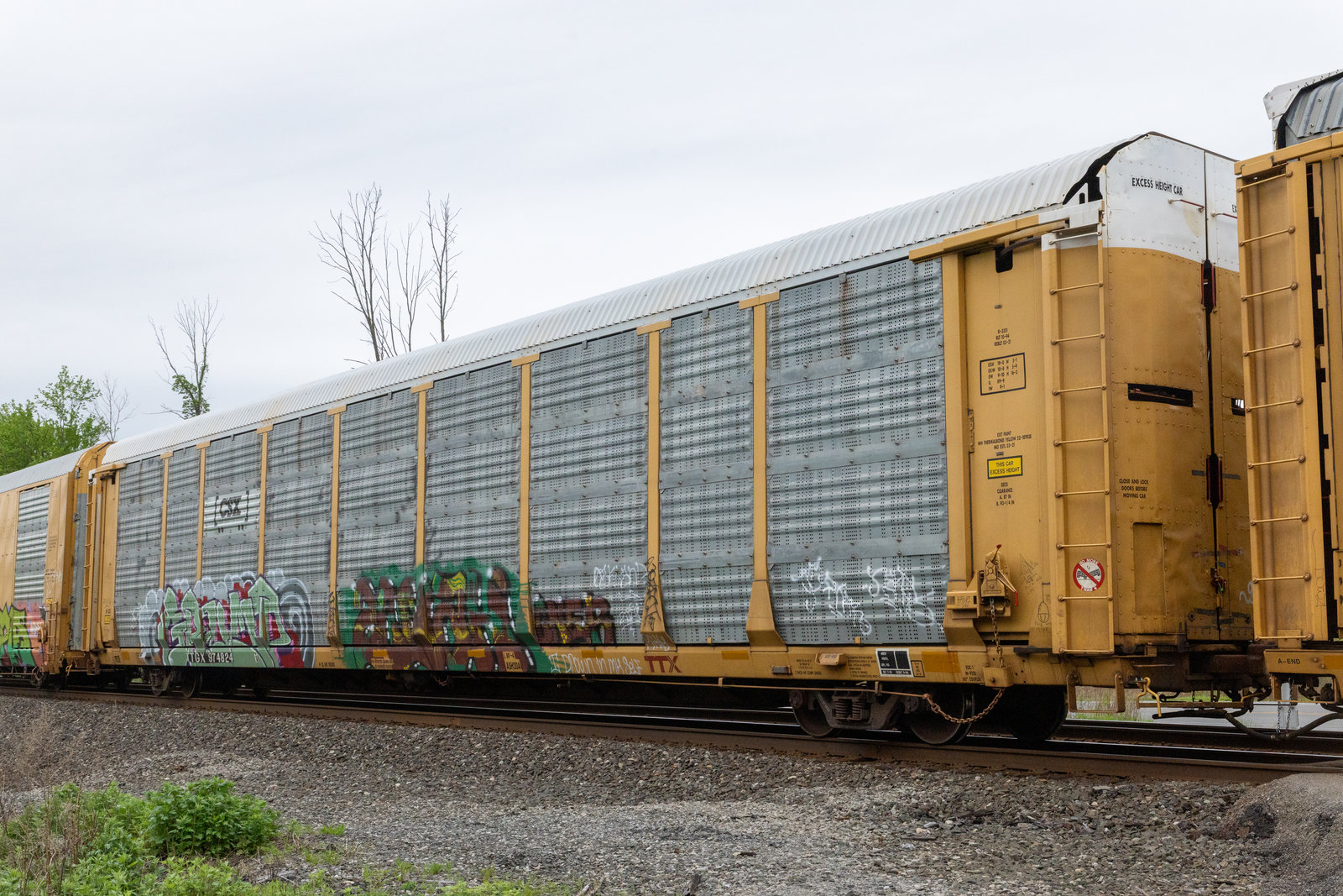 TTGX 974824