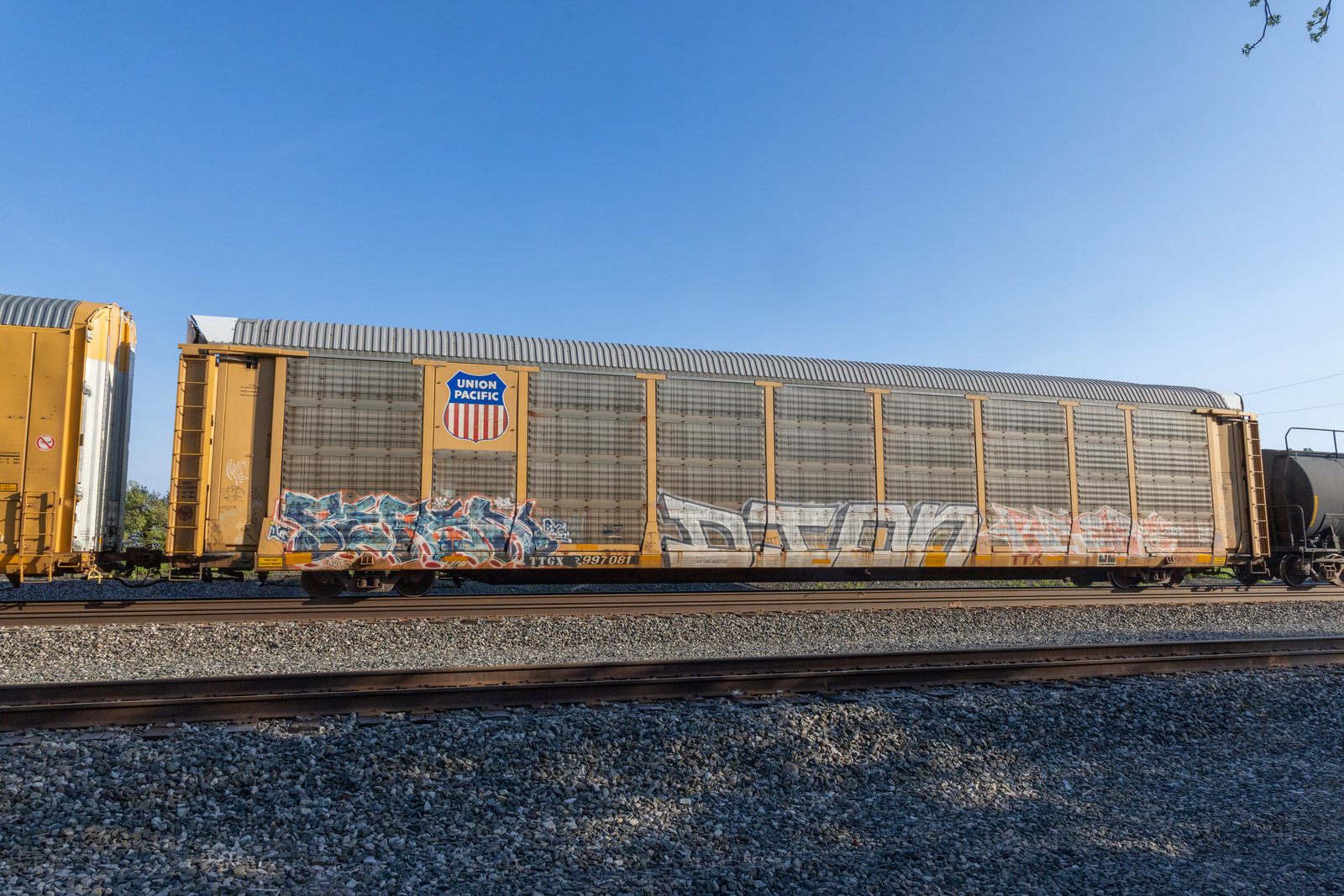 TTGX 997081