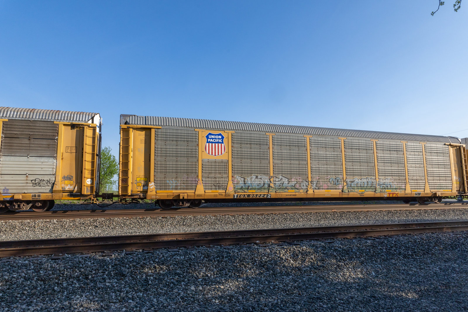 TTGX 952242