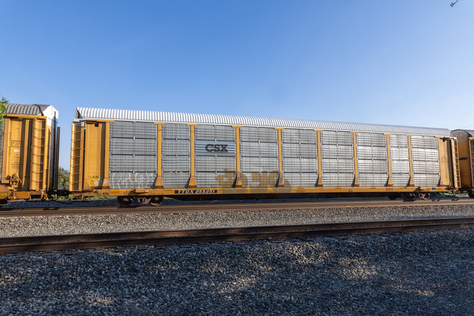 TTGX 255251
