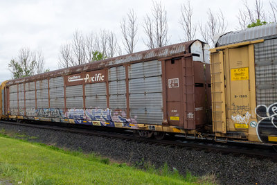 TTGX 254180