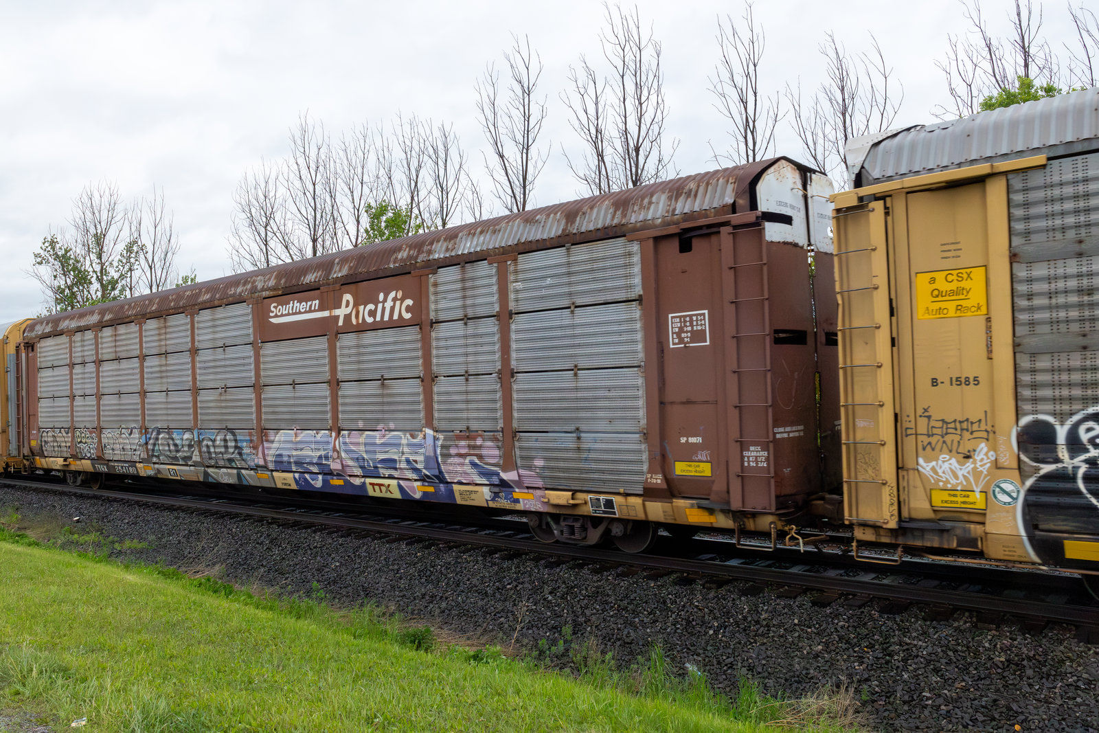 TTGX 254180
