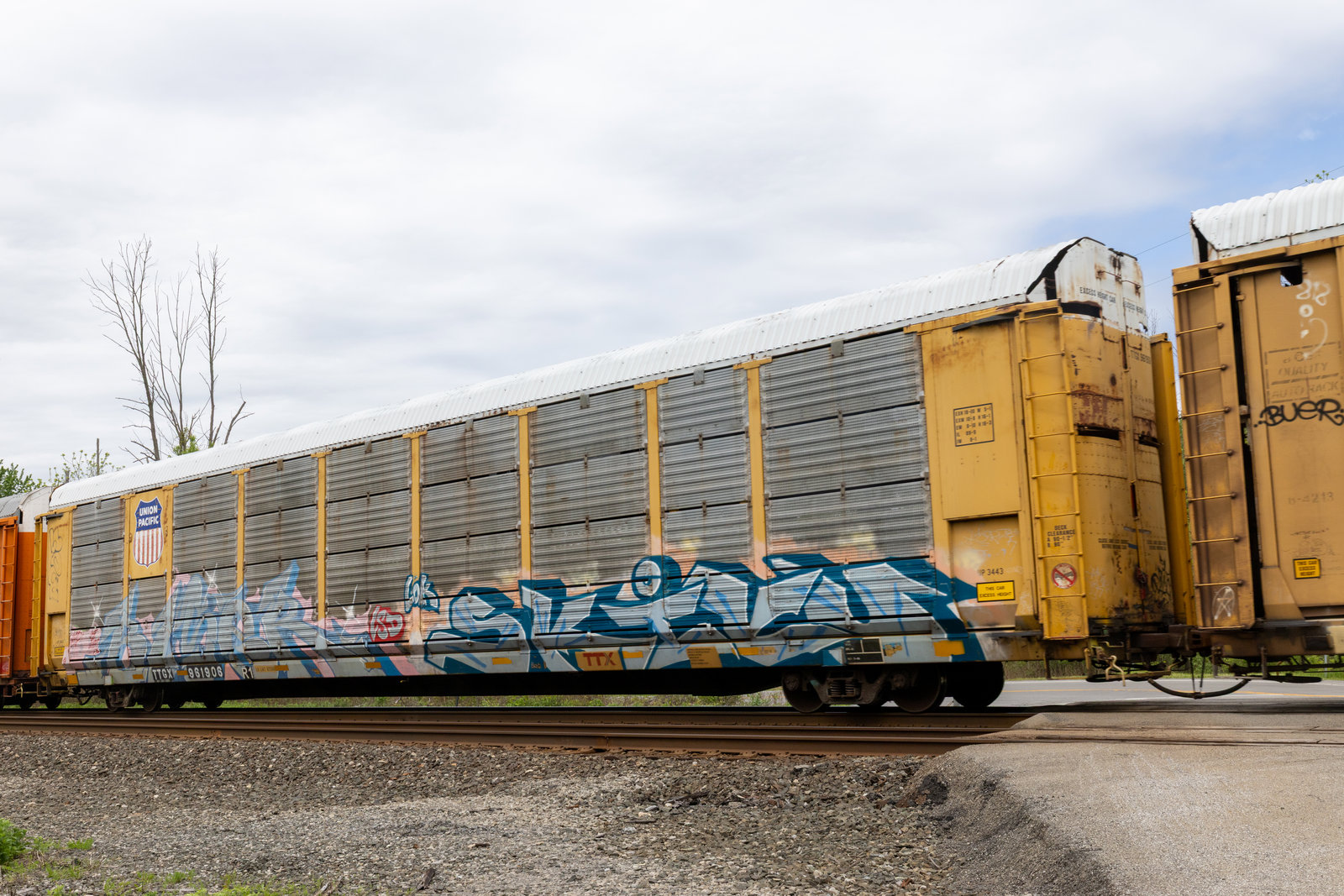 TTGX 961908