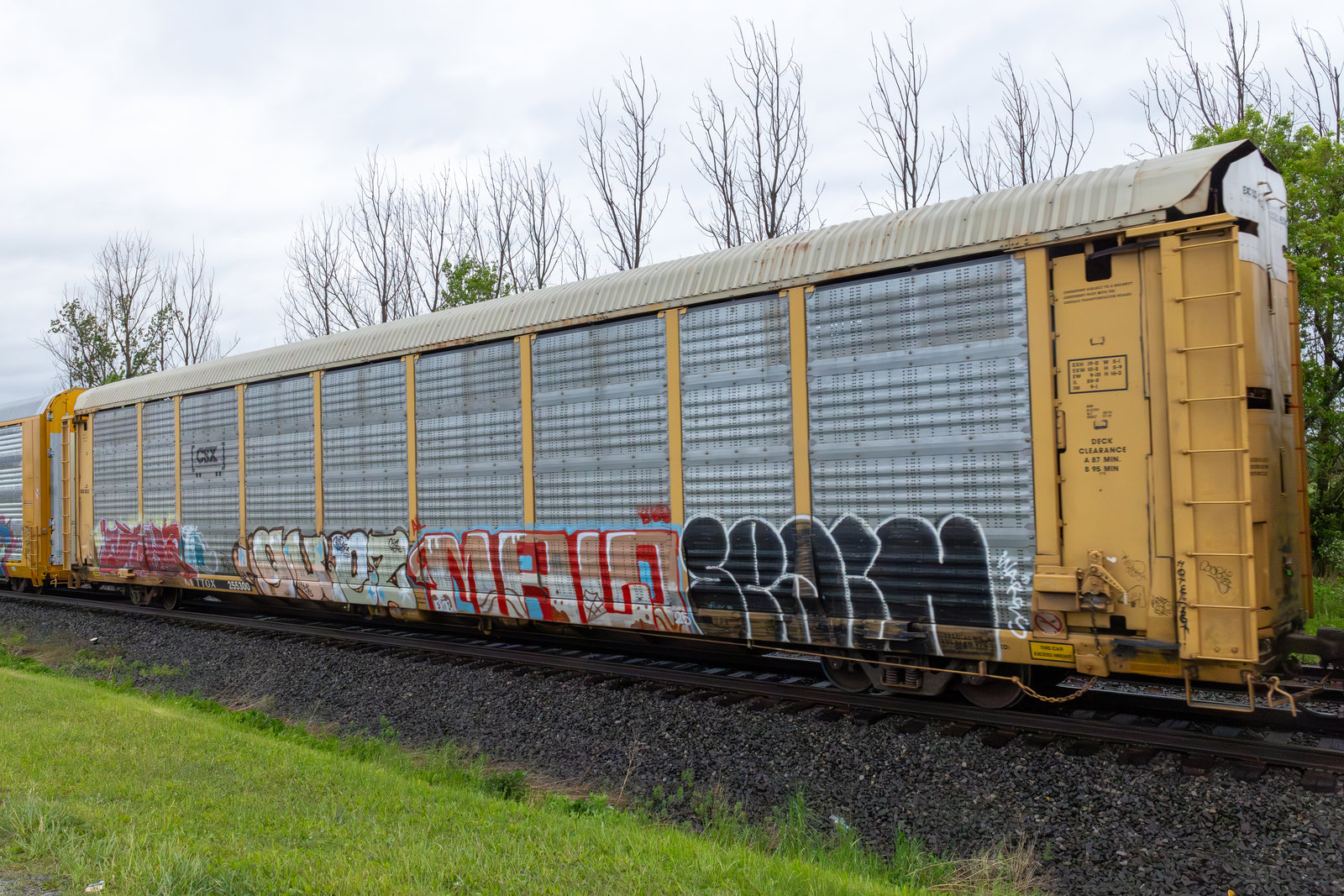 TTGX 255300