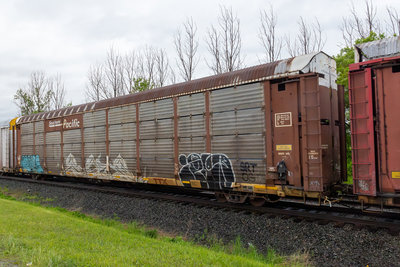 TTGX 254893