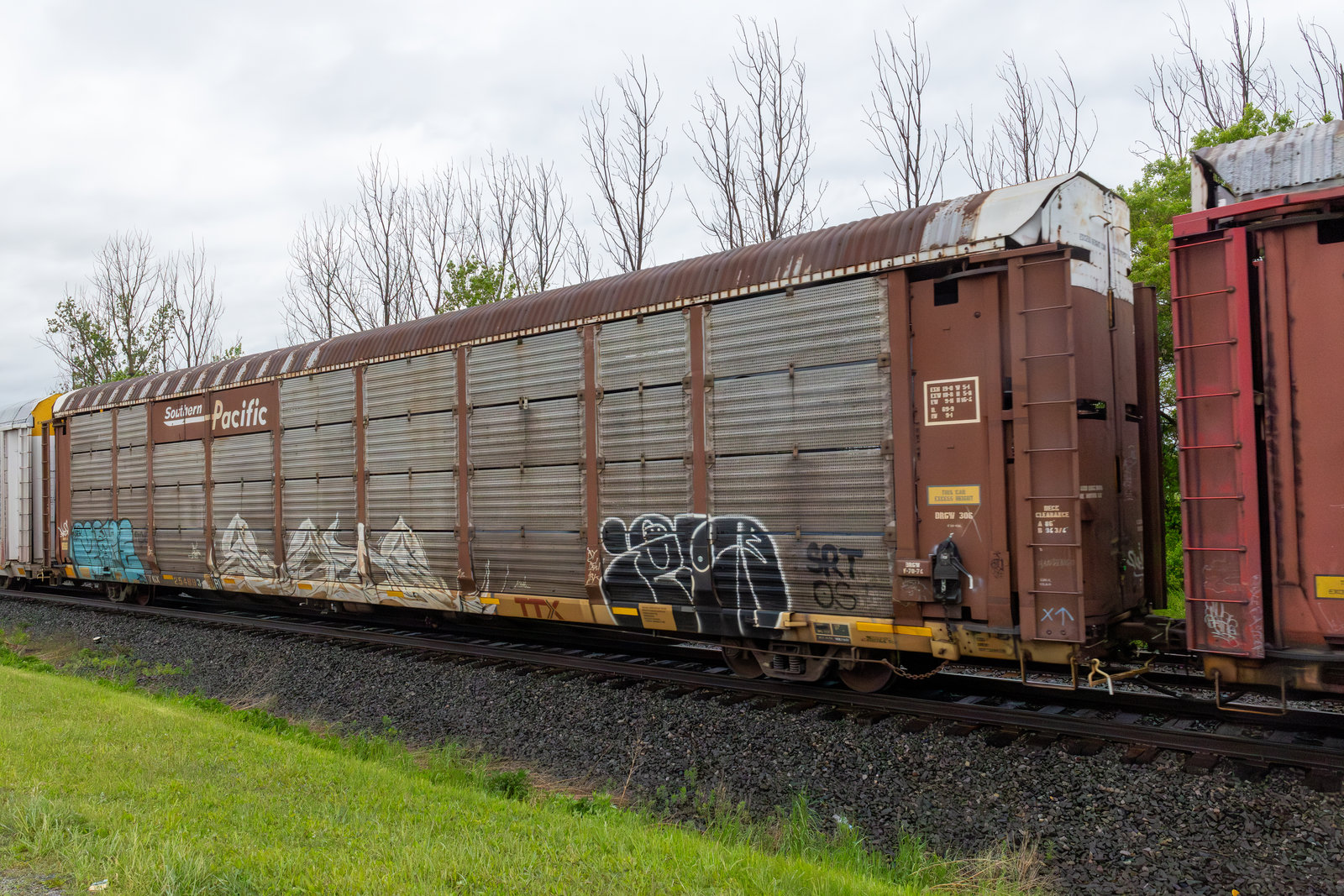 TTGX 254893