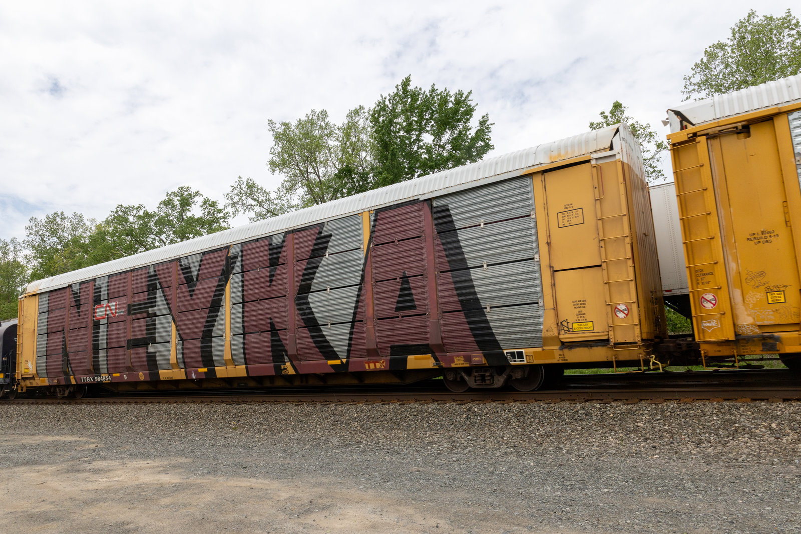 TTGX 964954