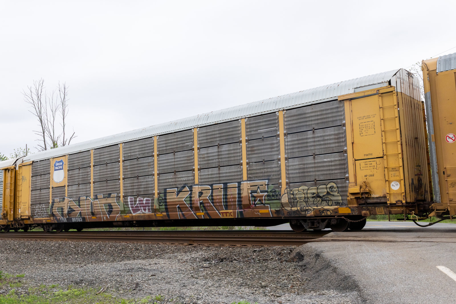 TTGX 961583