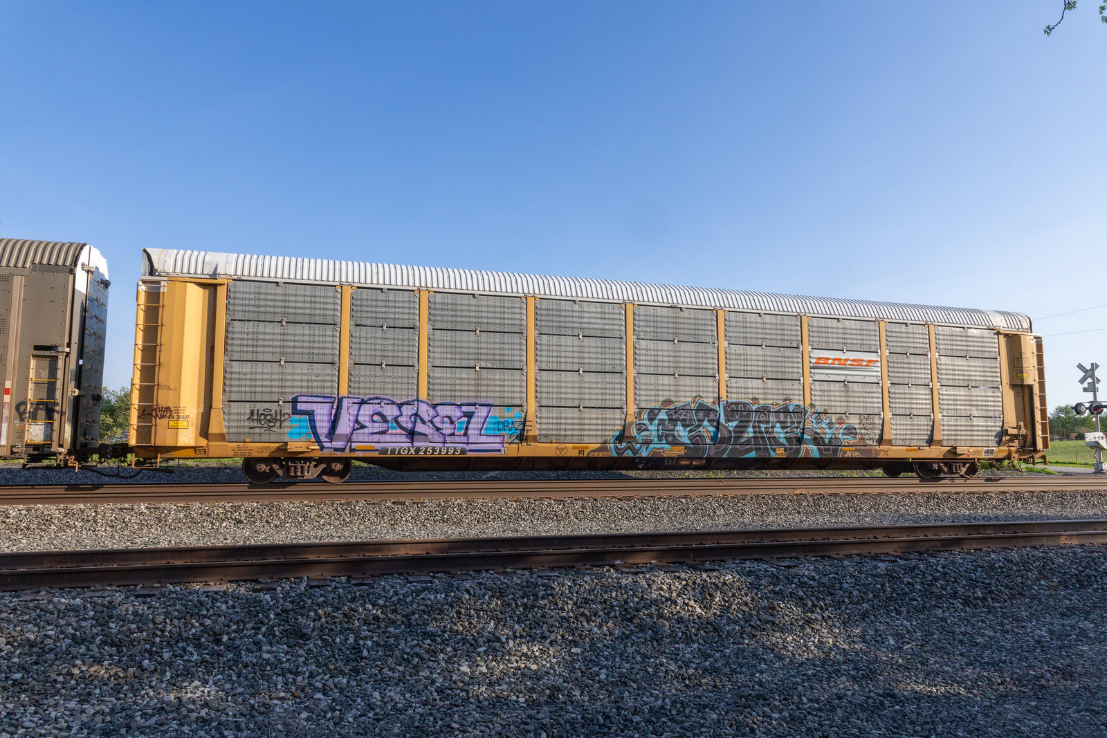 TTGX 253993