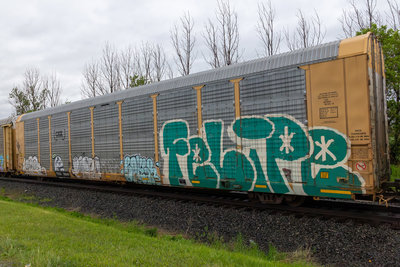 TTGX 716052