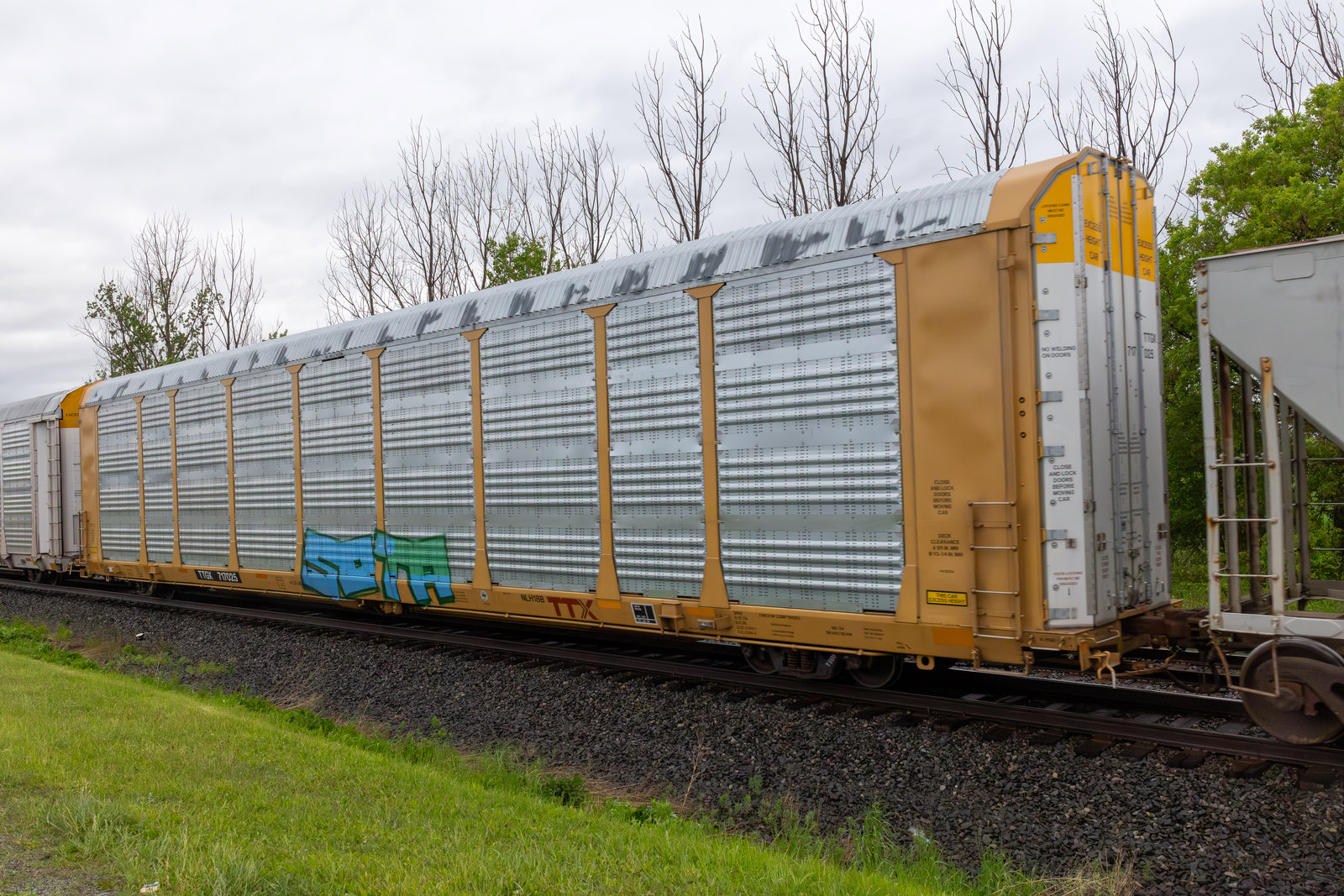 TTGX 717025