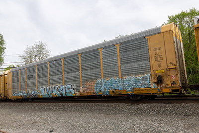 TTGX 716179