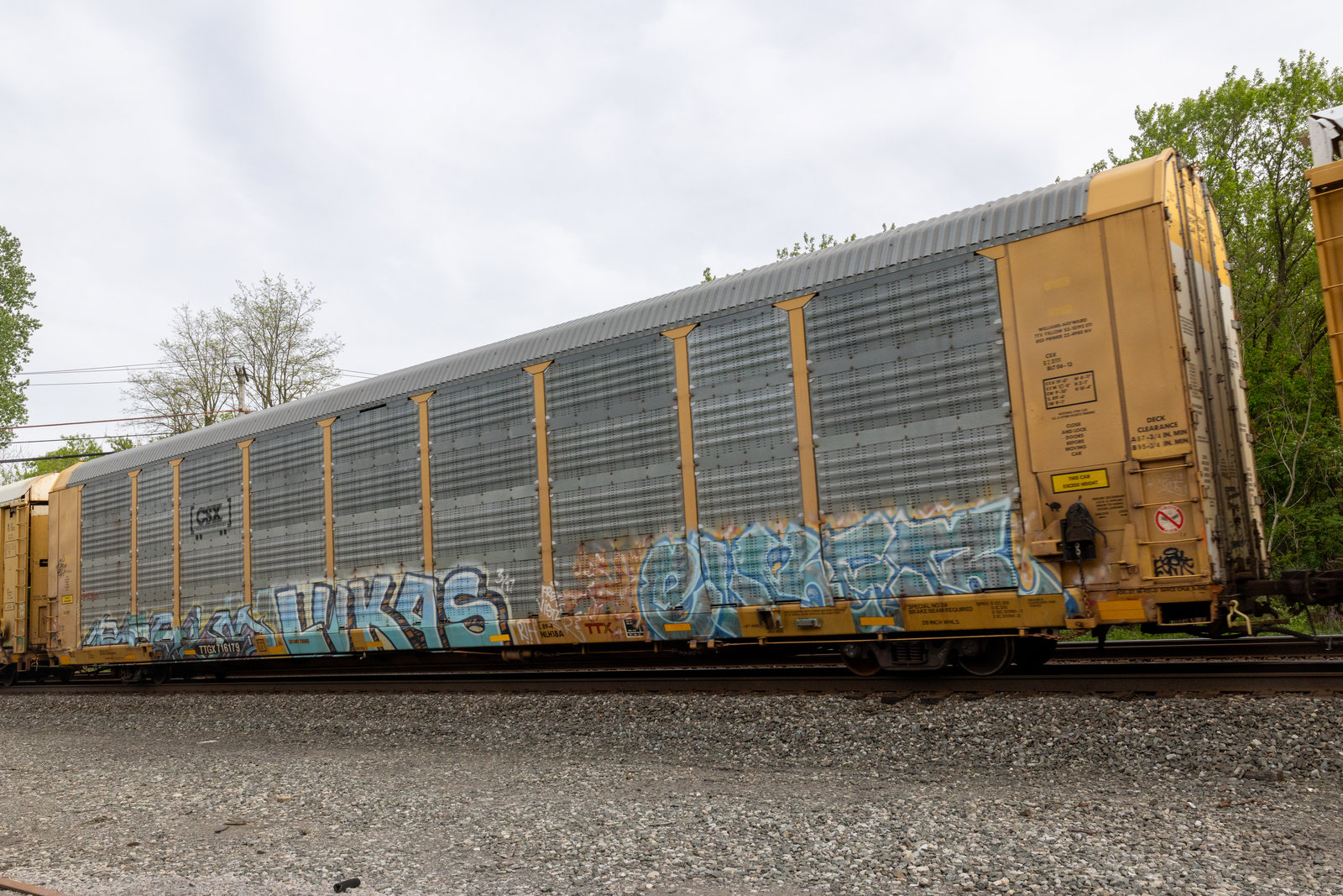 TTGX 716179
