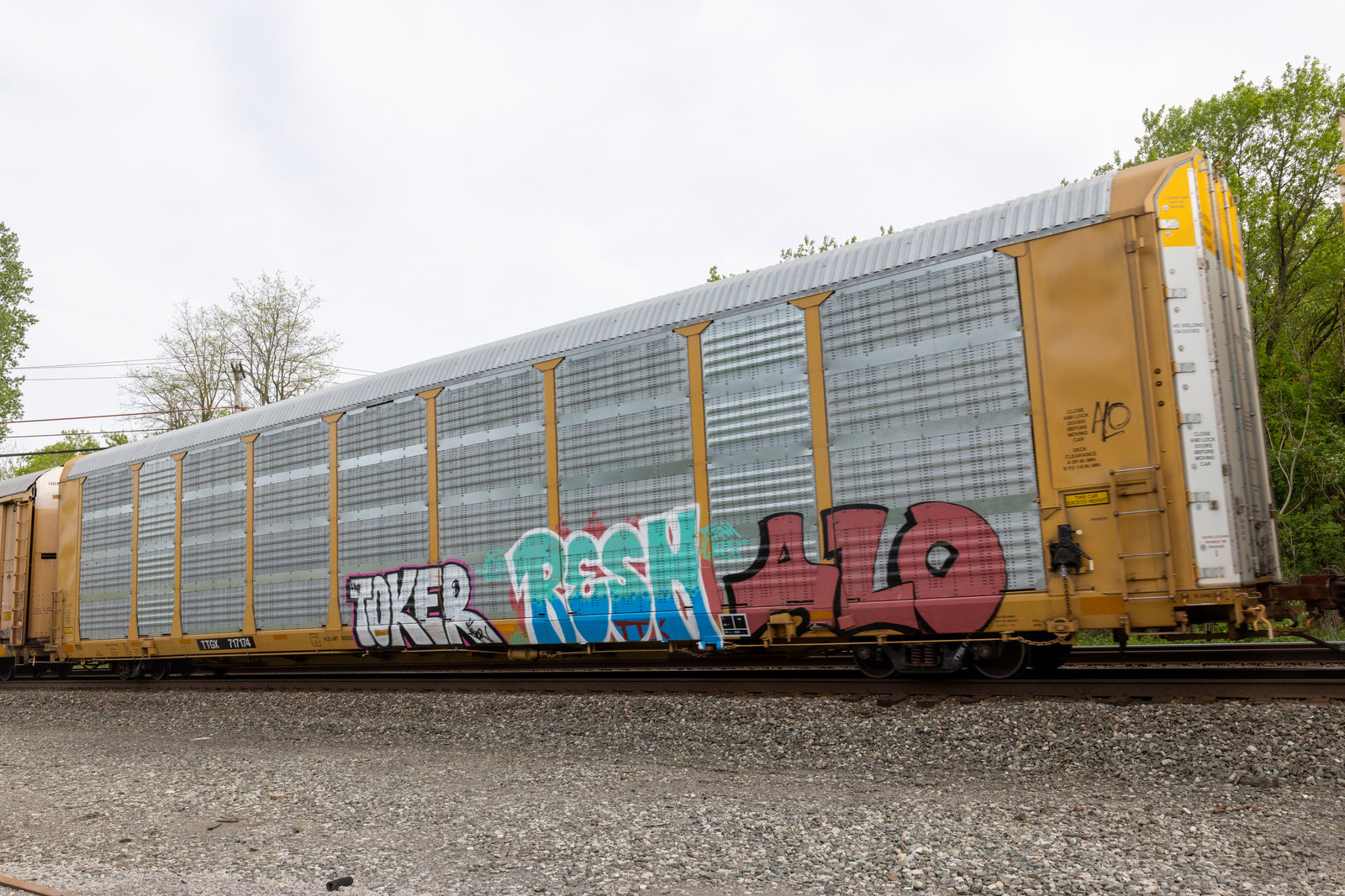 TTGX 717174