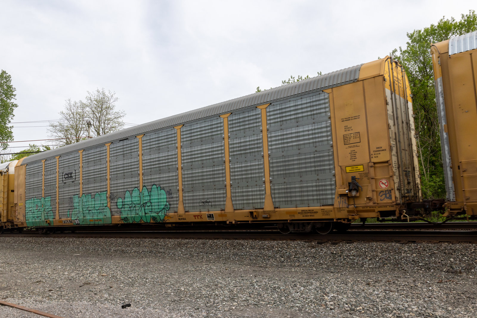 TTGX 716095