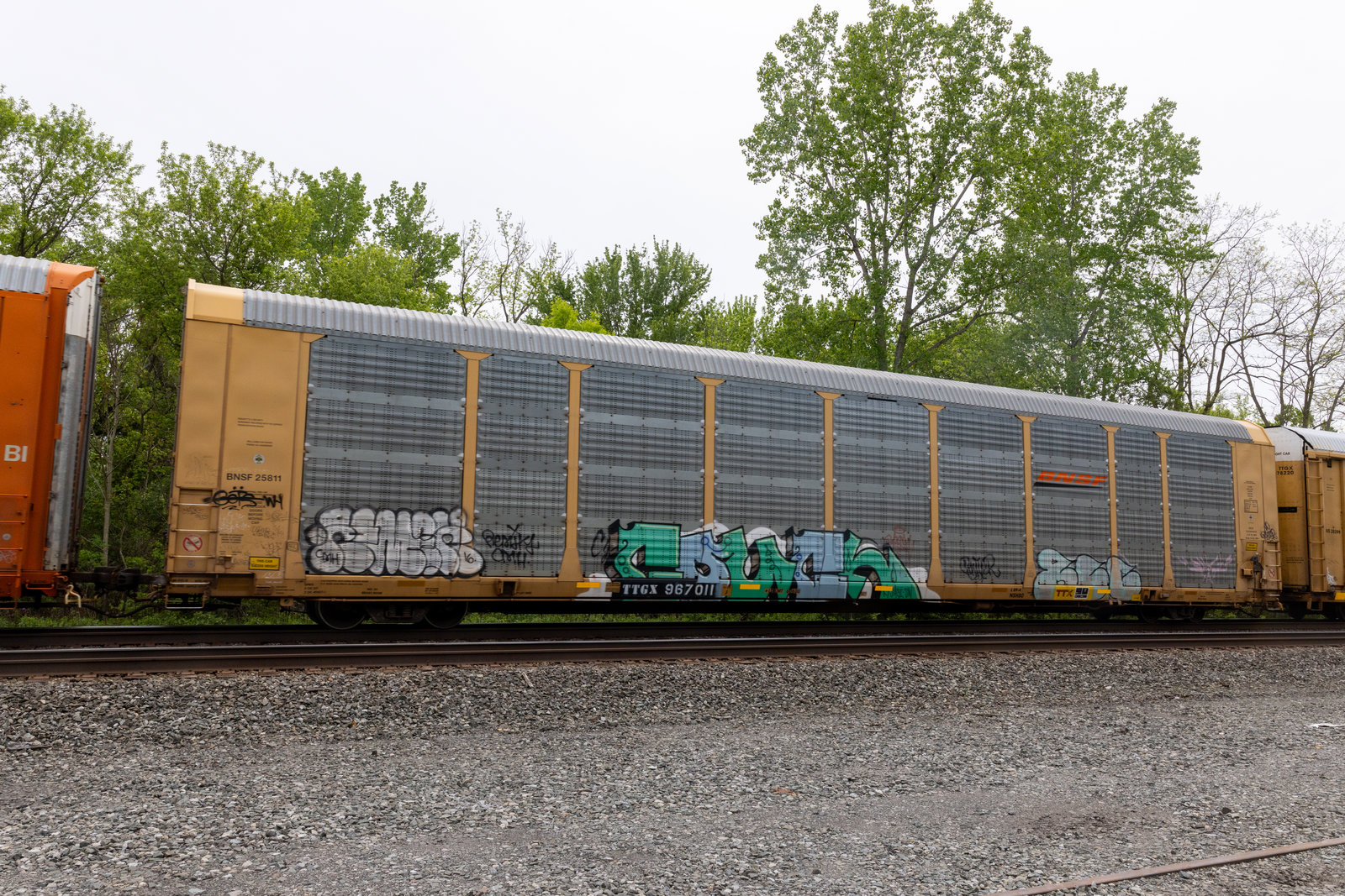 TTGX 967011