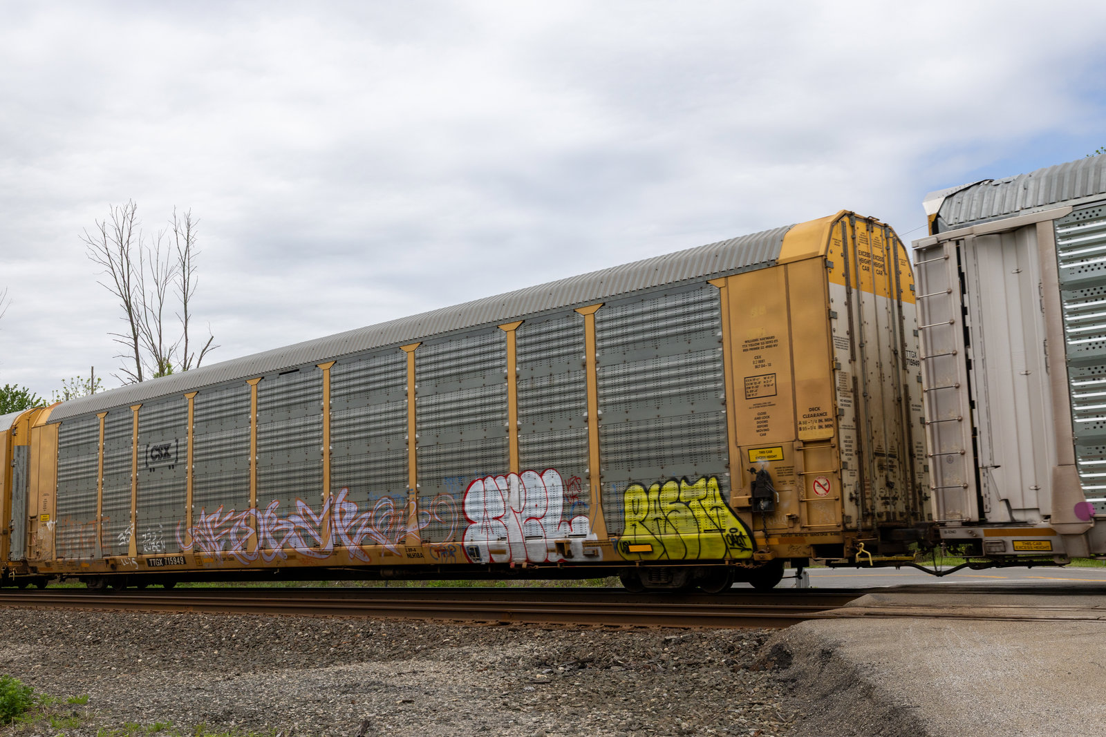 TTGX 715949