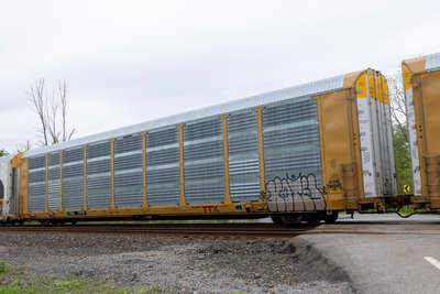 TTGX 717117