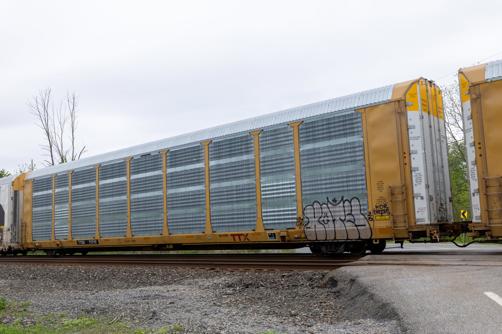 TTGX 717117