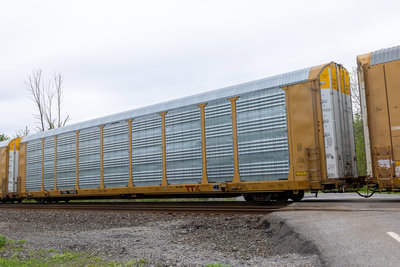 TTGX 716933