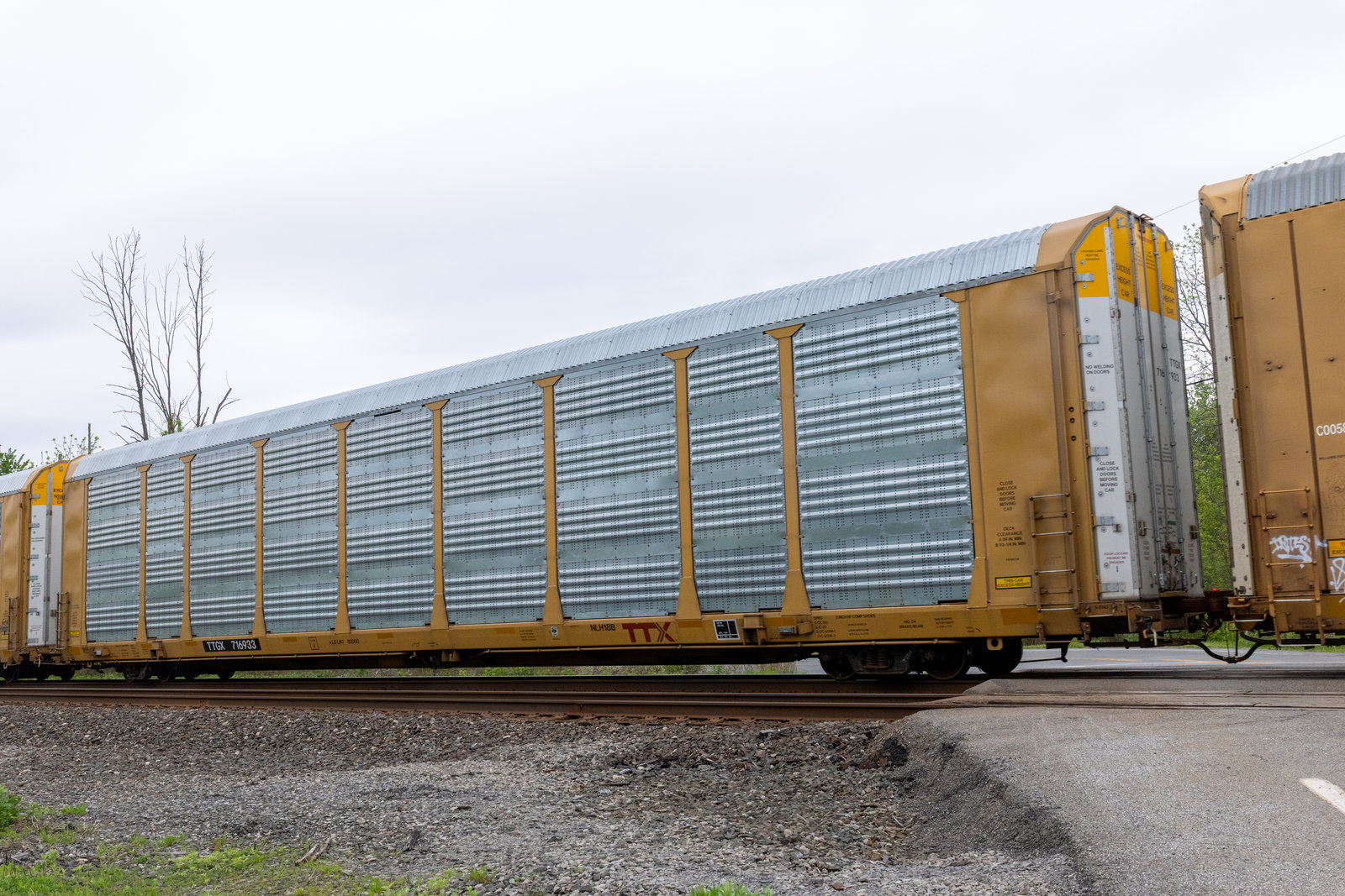 TTGX 716933
