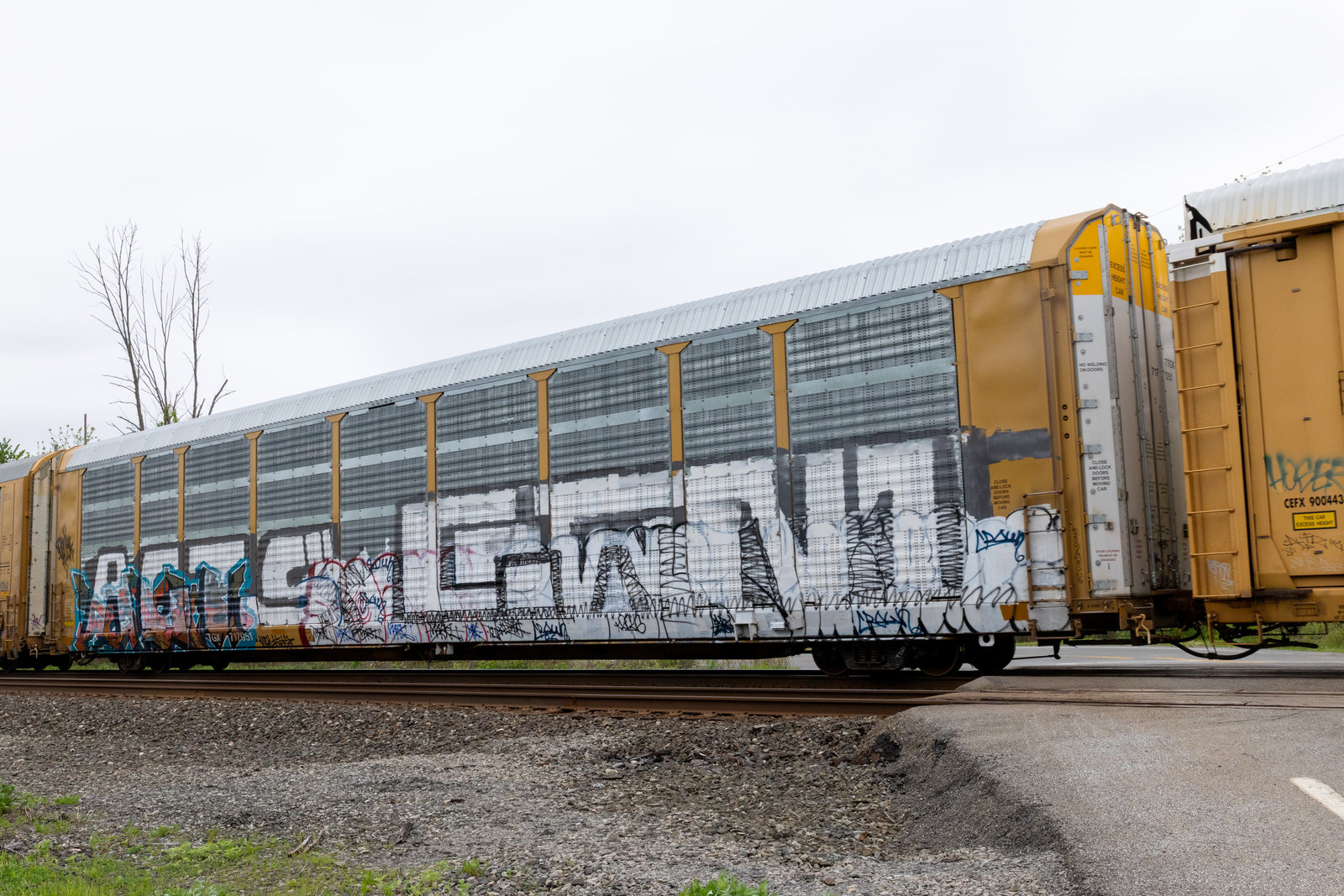 TTGX 717051