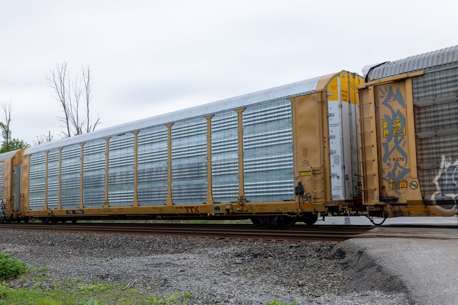 TTGX 717063