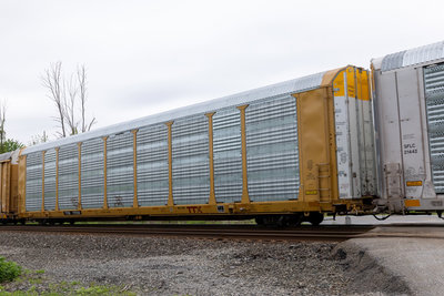 TTGX 717232
